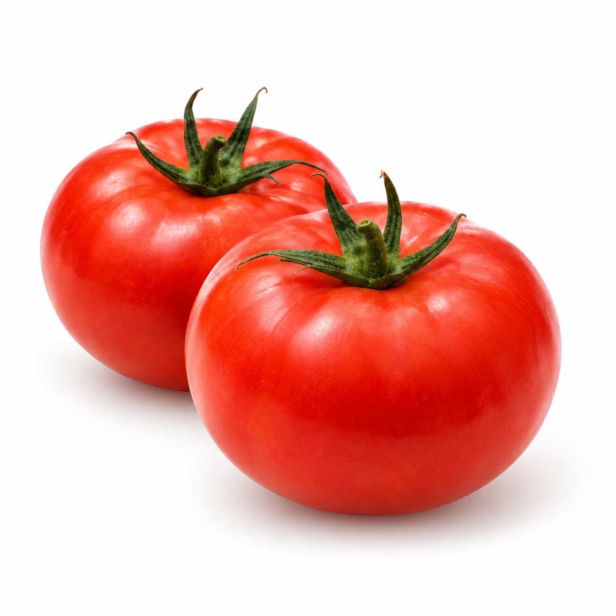 Illustration of Tomatoes on a white background